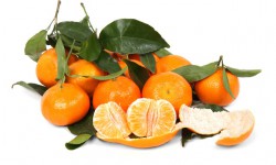 citrus-2395_640