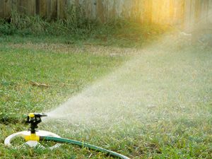 lawn sprinkler