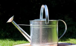 watering-can-397299_640