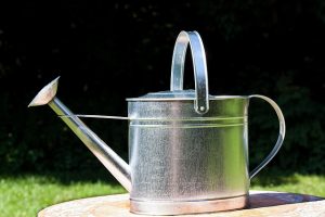 watering-can-397299_640