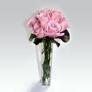 Long Tall Rose