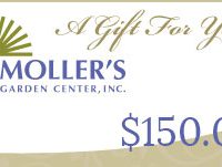 $150 Gift Card