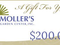 $200 Gift Card