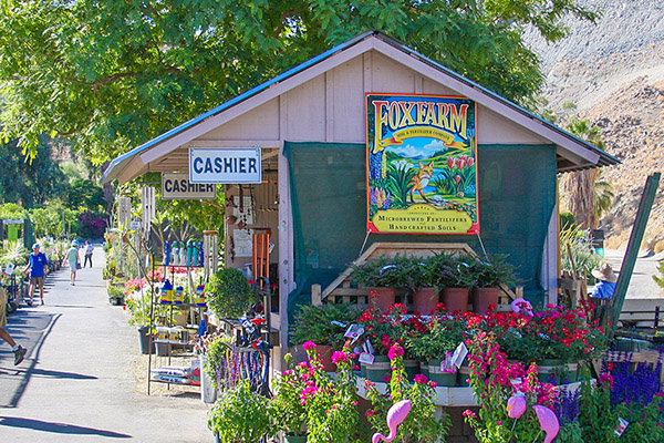 Moller's Garden Center plant nursery