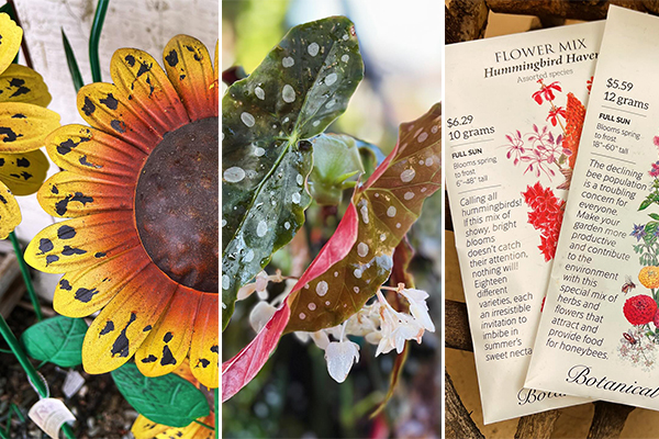 Gifts for Gardeners | Moller's Garden Center