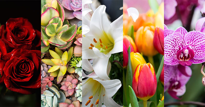 gifts for mothers day