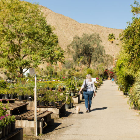 Moller’s Garden Center, a long-established nursery in Palm Desert with roots in the Coachella Valley since the 1950s