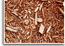mulch